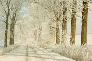 Winter Asphalt Tips Minnesota